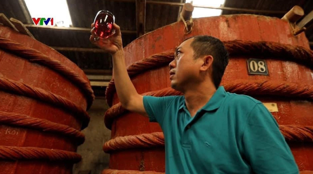 Lĩnh vực hoạt động